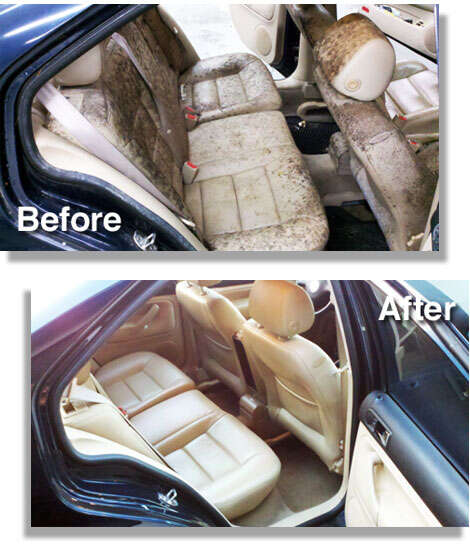 How To Remove Mold From Car Interior Safely